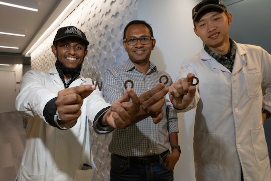 Rice university 3D geprint hout