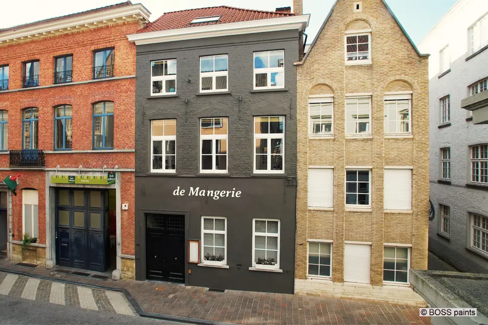 ravalemennt de facade boss