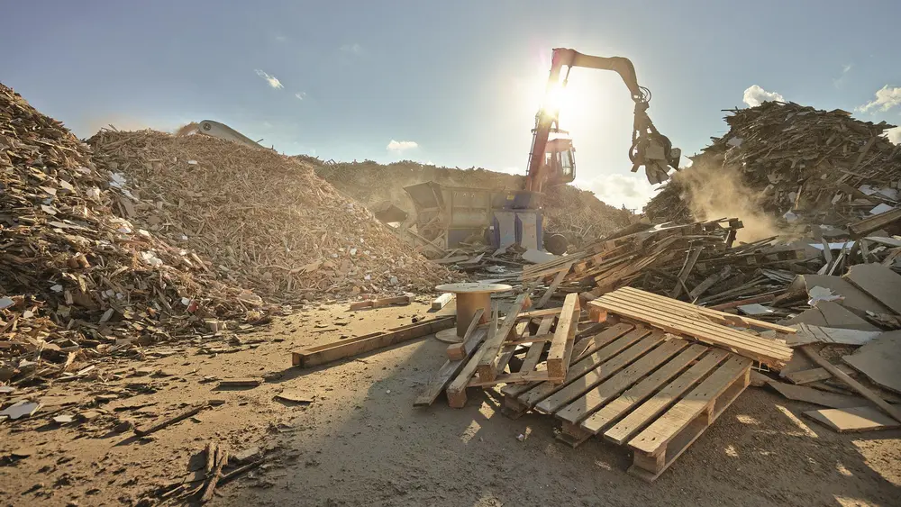 Egger de nieuwe generatie hout1