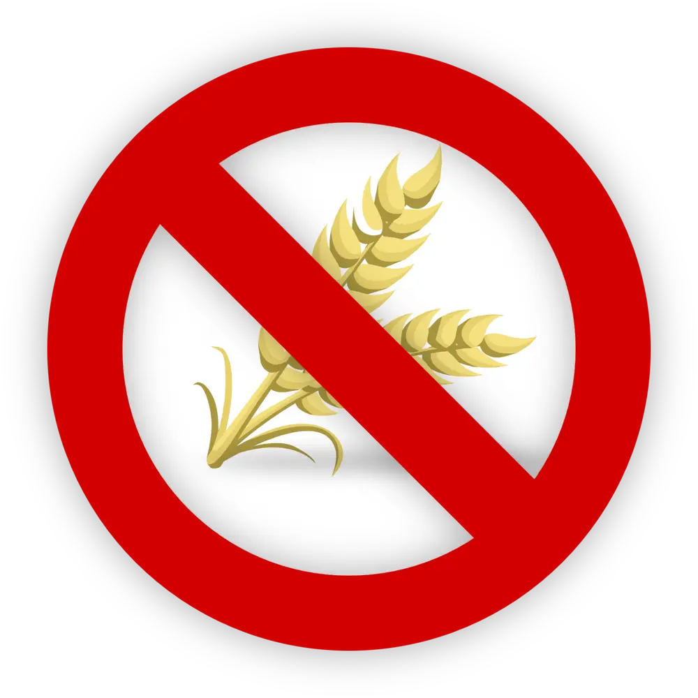 no grains