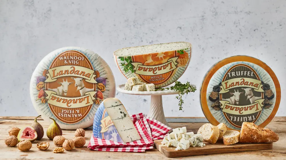 Landana assortiment Vandersterre