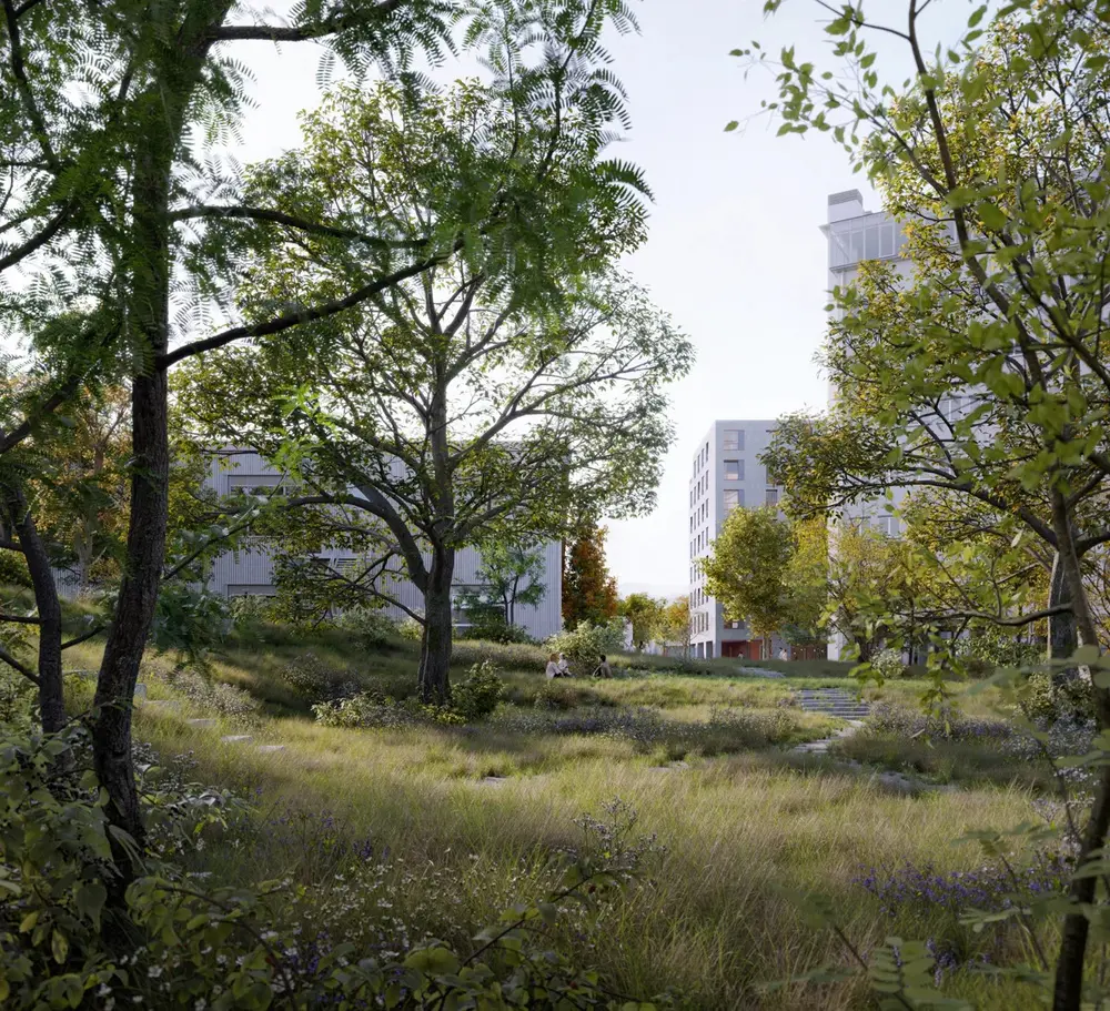 Op de site komt een groot publiek park.