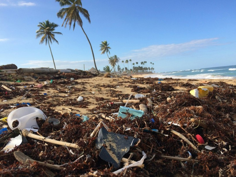 Plastic pollution
