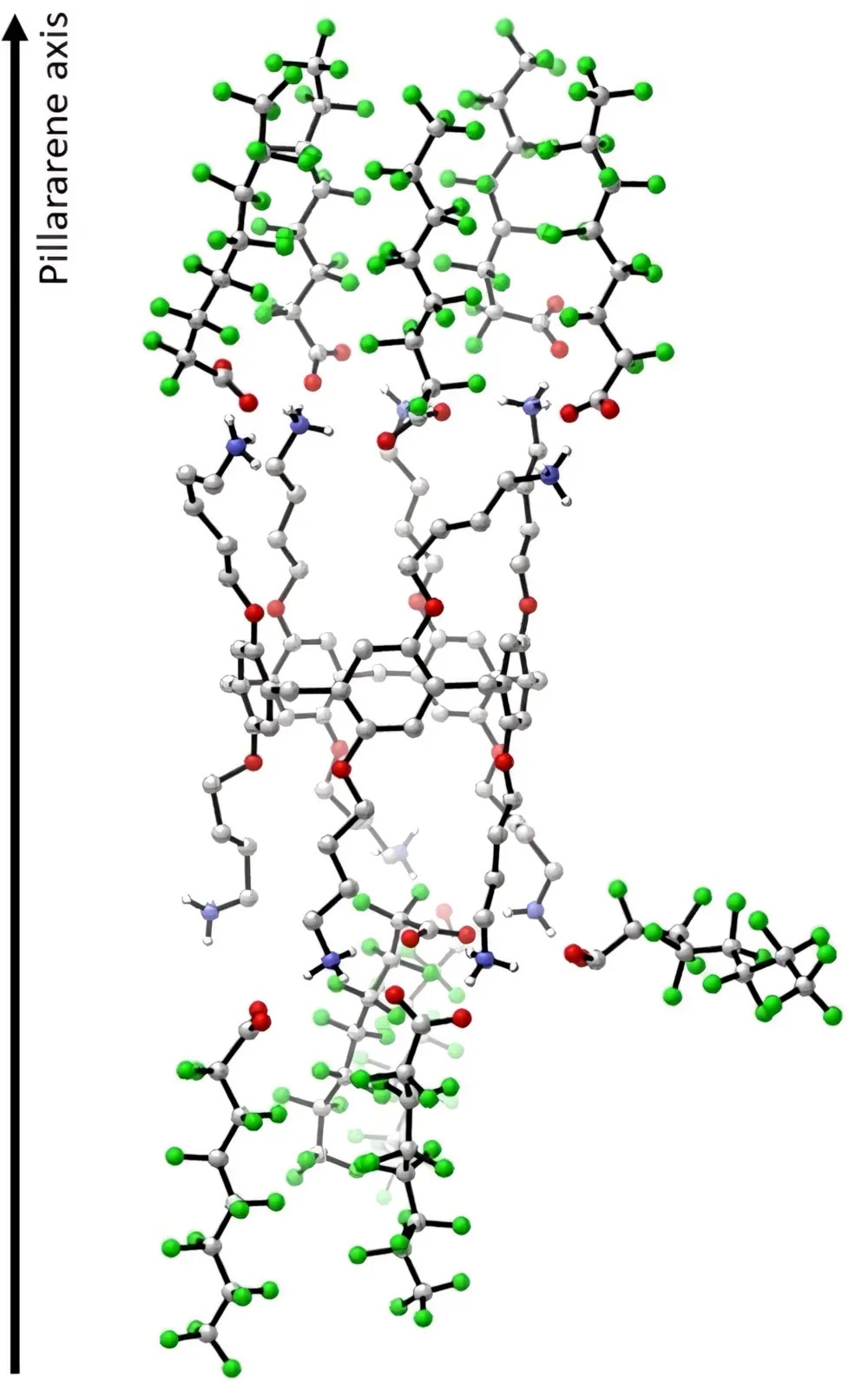 figuur 3: Het ringvormige DAF-P5S molecuul met aangehechte PFAS moleculen (iets versimpelde X-ray-kristalstructuur van pillararene met gevangen PFAS)