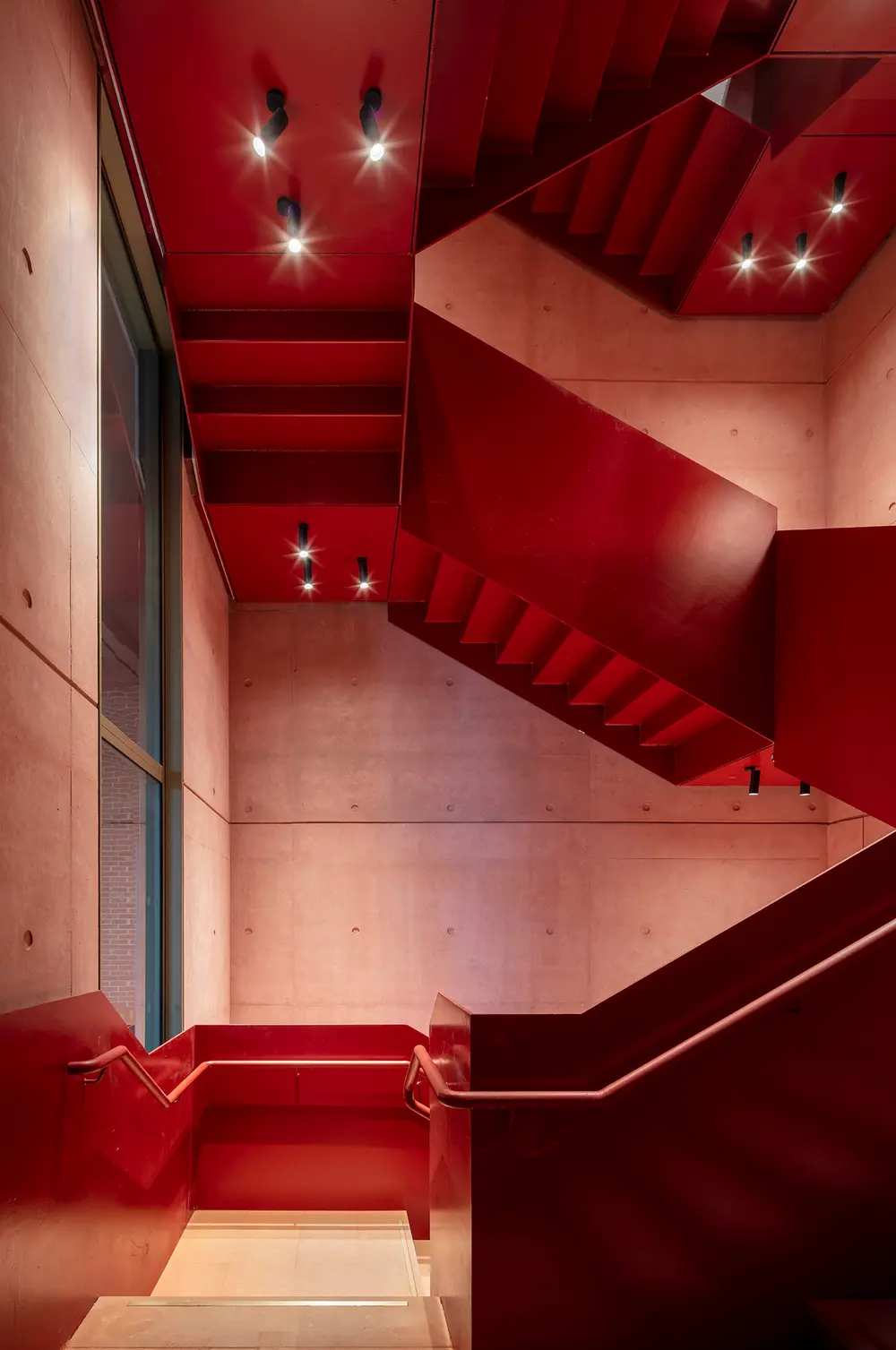 International Rugby Experience'