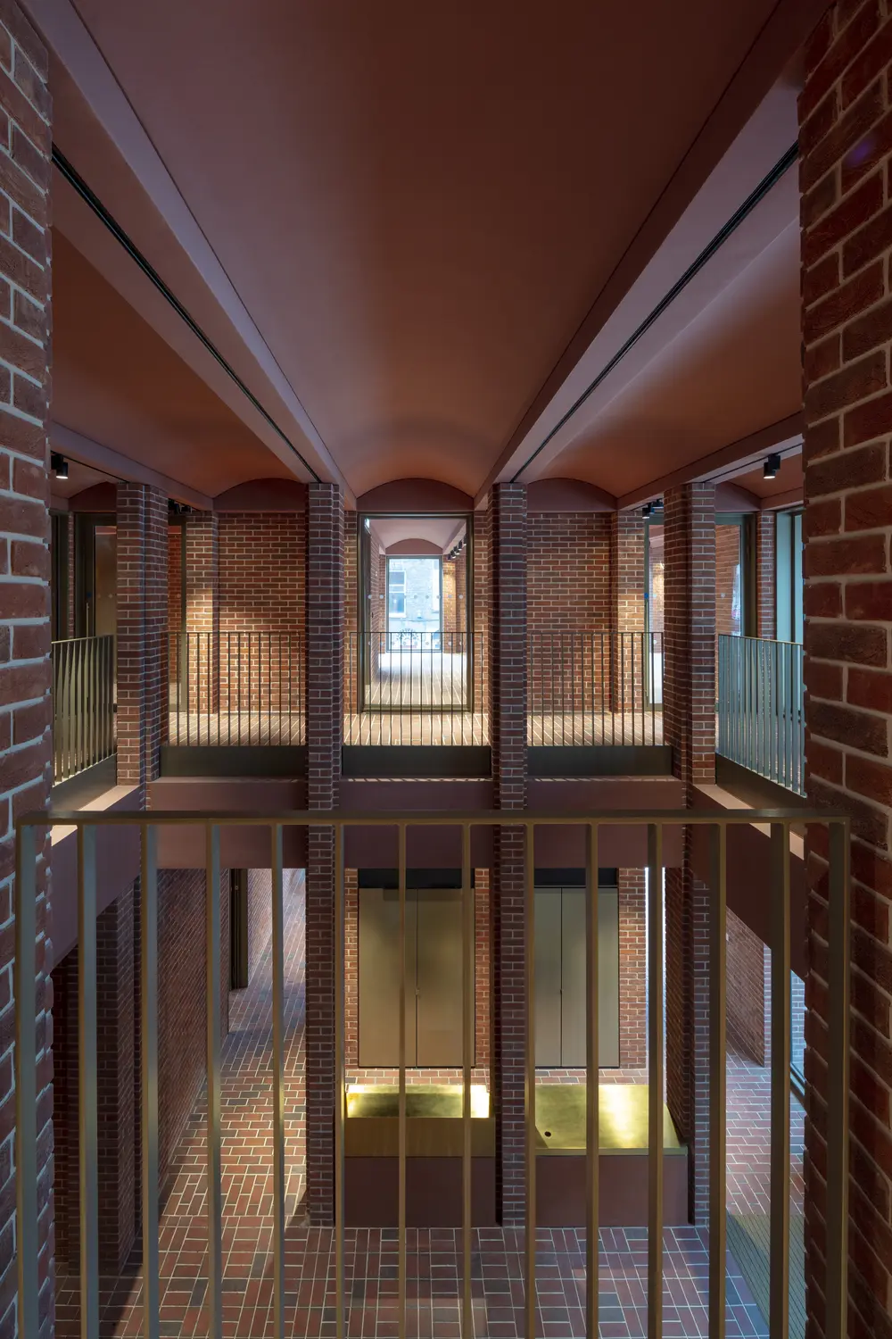 'International Rugby Experience' © Nick Kane  