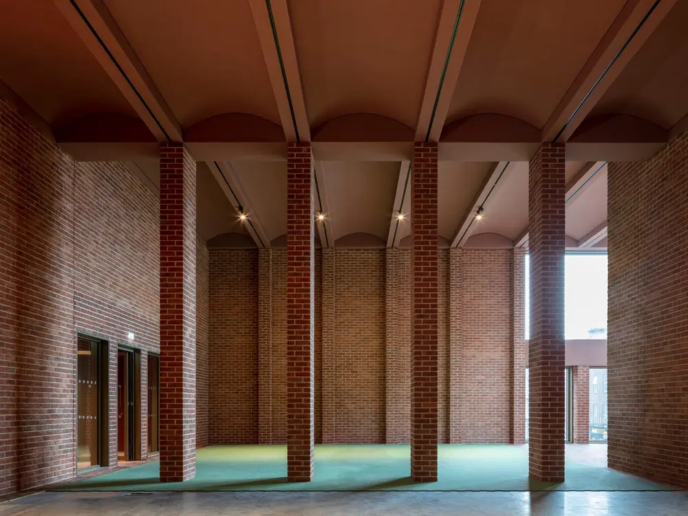 'International Rugby Experience' © Nick Kane  