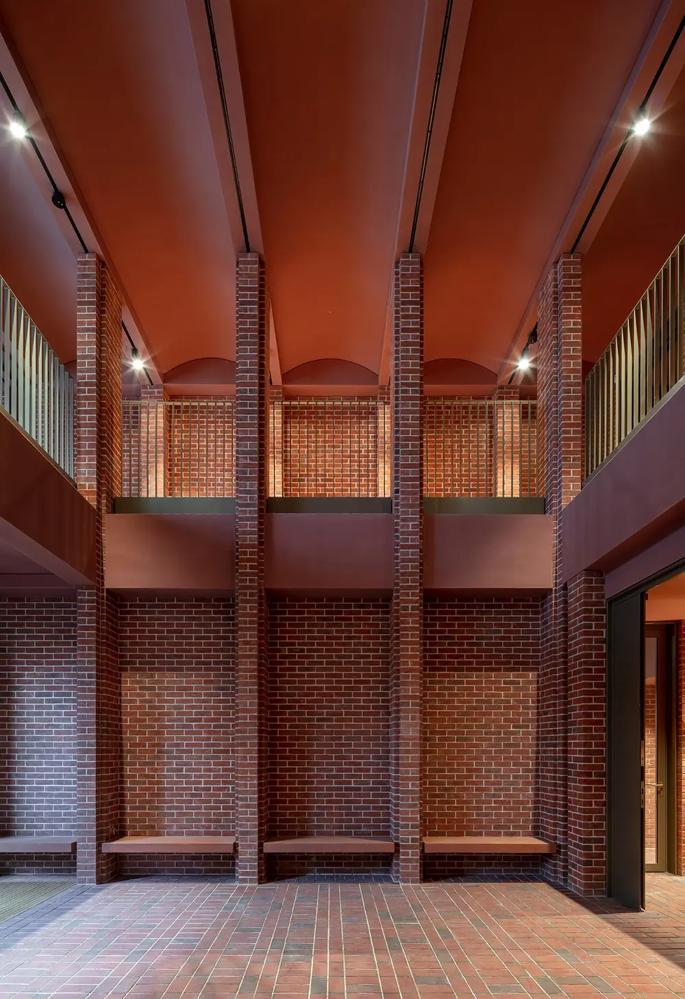 'International Rugby Experience' © Nick Kane  