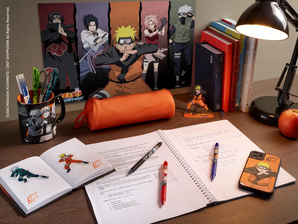 Naruto Shippuden2