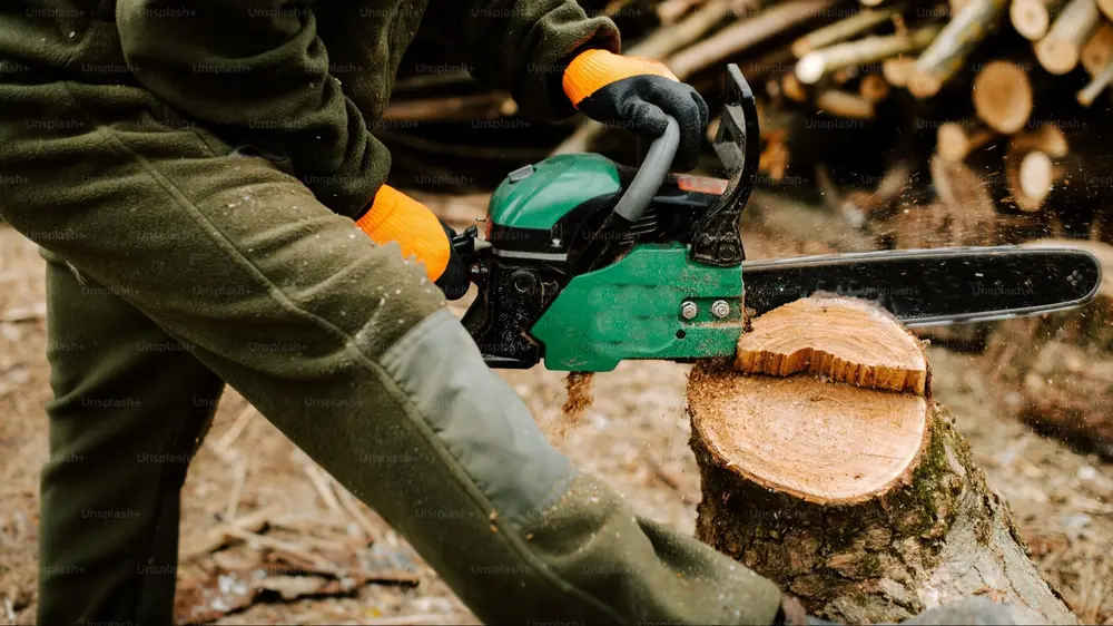 kettingzaag bomen verzagen