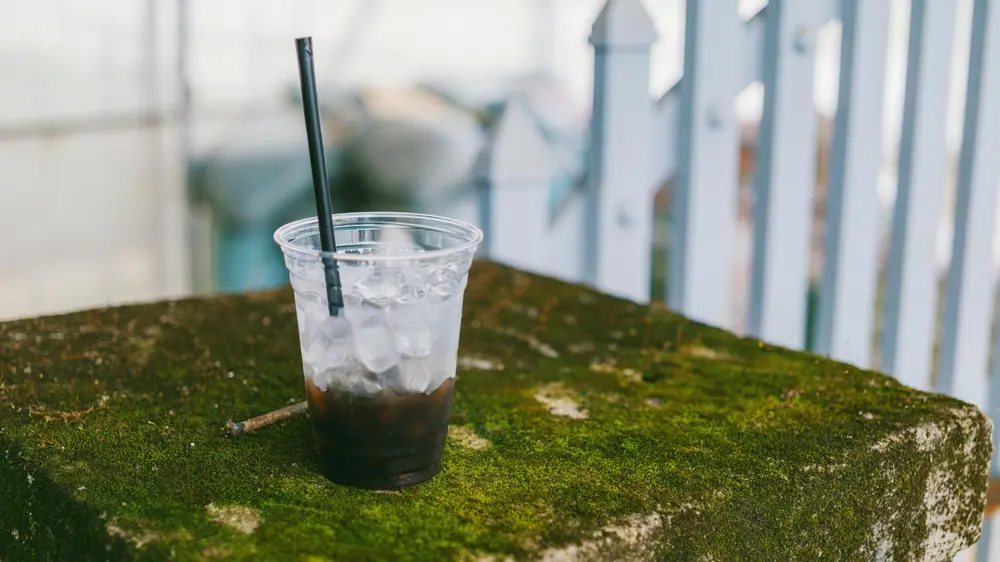 verbod op pet vlaanderen