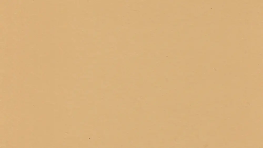 Kleur 1 Penny Loafer