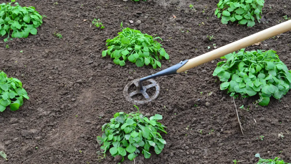 Vollemaanschoffel De Pypere