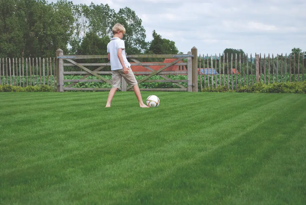 Gezond gazon voetbal