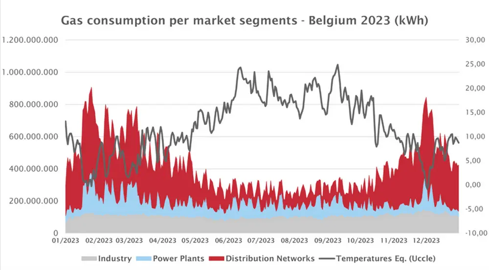 Gasverbruik per marktsegment in België in 2023