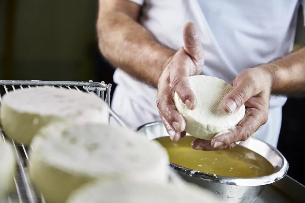 Savencia ambachtelijk