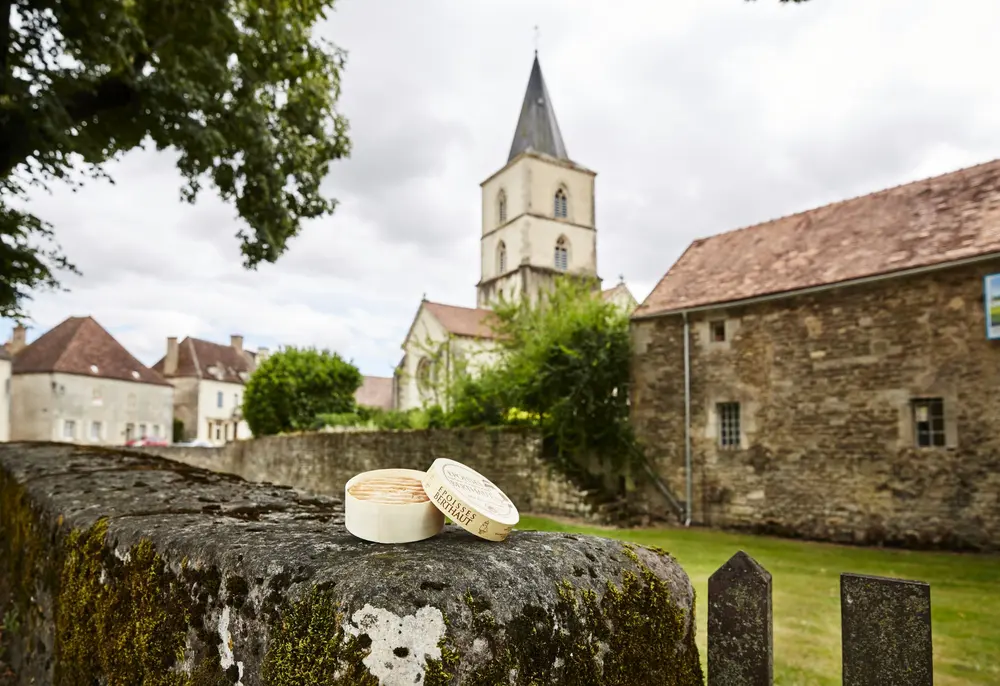 Savencia kaasmakerij