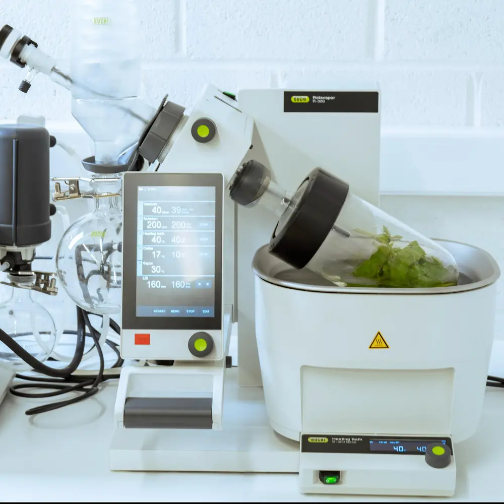 Case Claerhout Lecocq 2