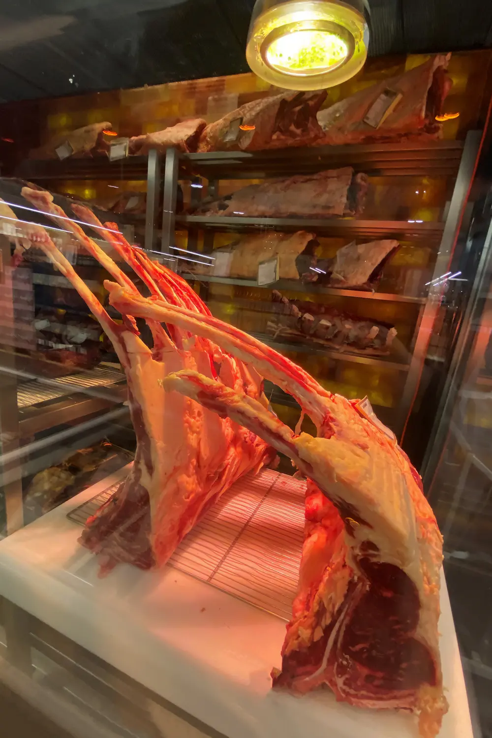 duurzaam rundsvlees foto 2