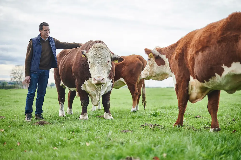 duurzaam rundsvlees foto 4