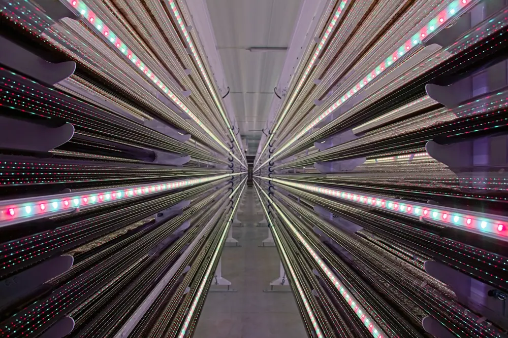 Lgem buizen met led