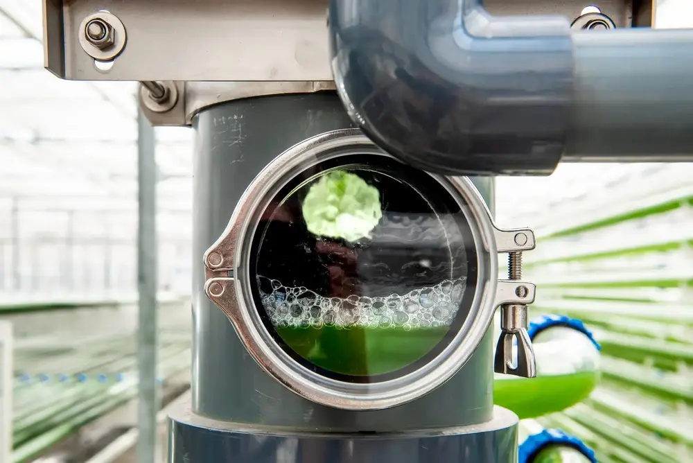 fotobioreactor lgem