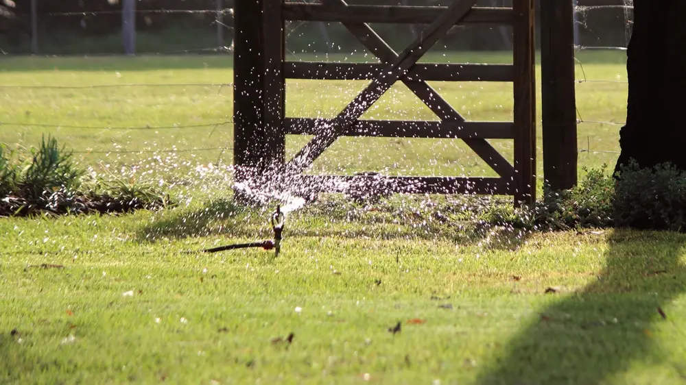 sprinkler gebruiken gazon