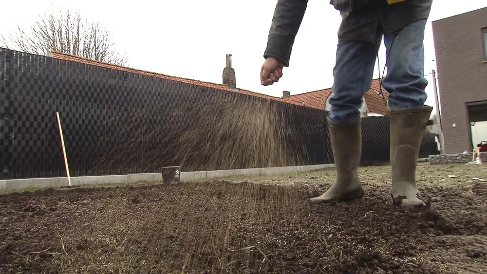 gras zaaien uitstrooien