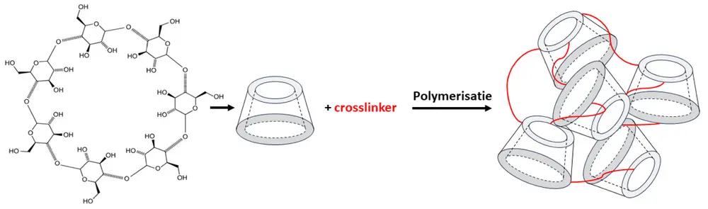 Figuur 2: Het cyclodextrinepolymeer