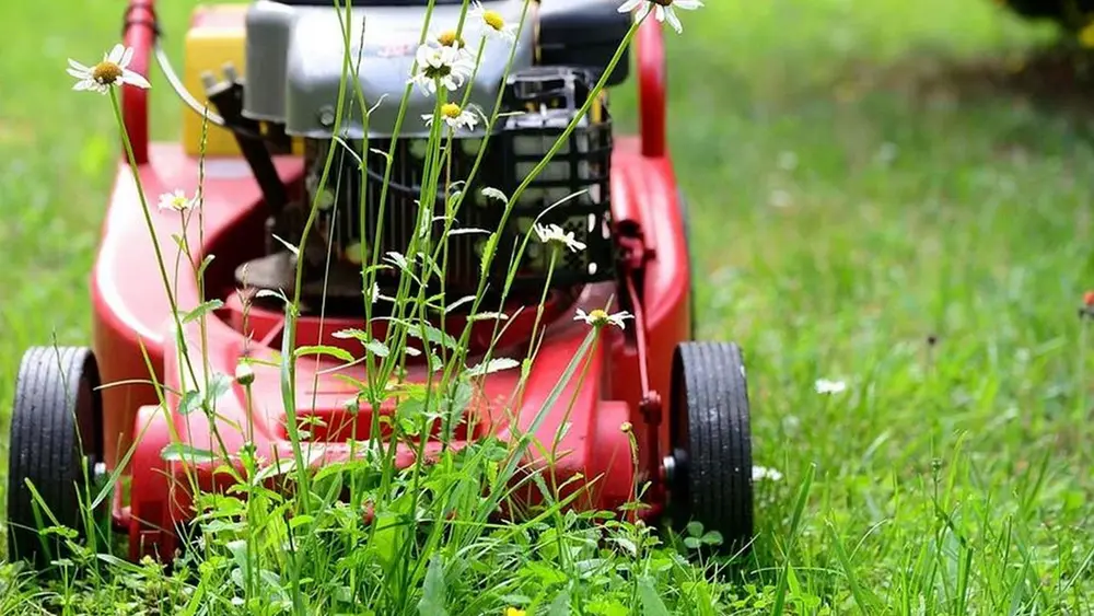 grasmaaier soorten mengsels