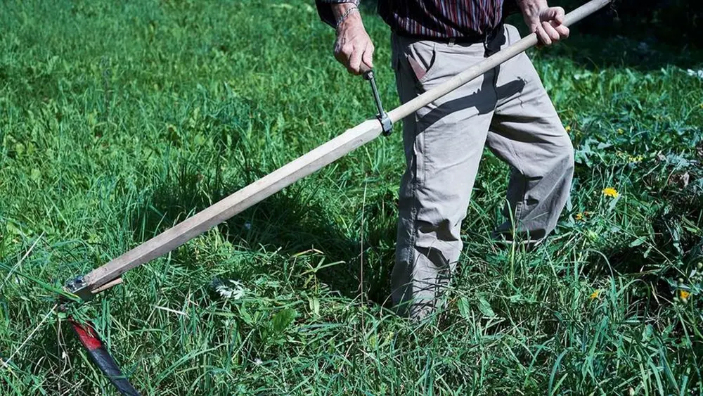 vaste planten zeisen maaien