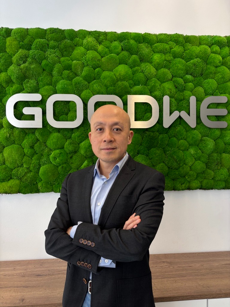 goodwe nieuwe director