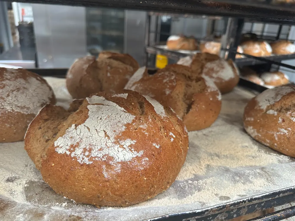 brood