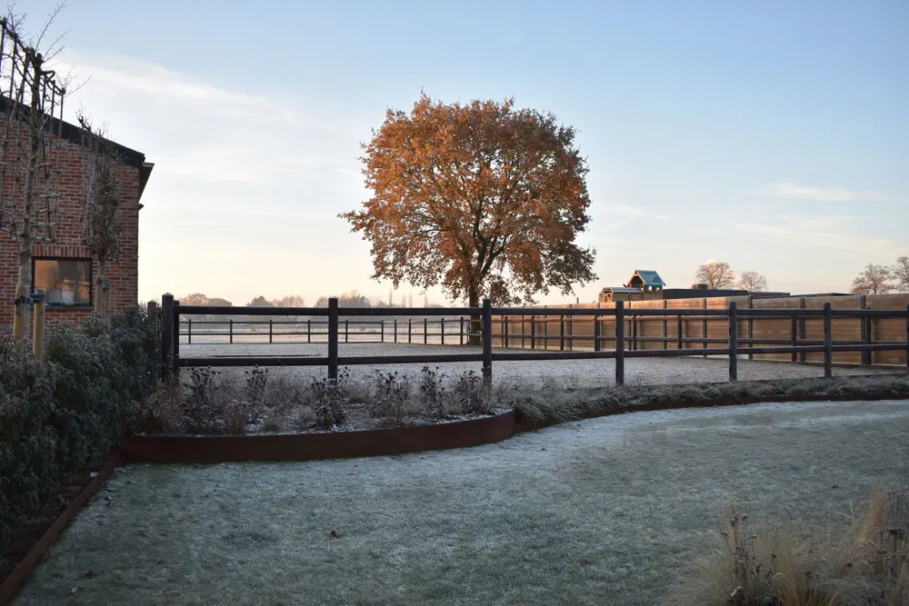 Tuinen voor elk seizoen