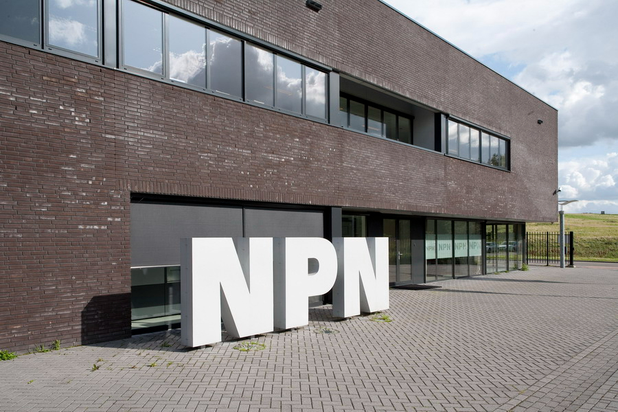 NPN
