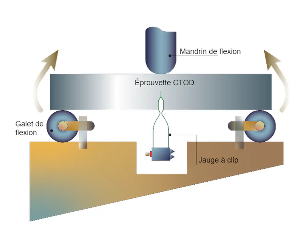 Figure 1b