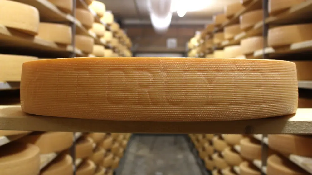 Gruyère kaas Zwitserland