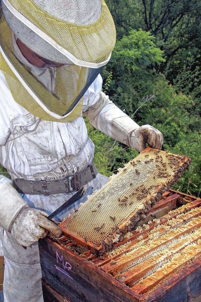 Saveurs ardéchoises de choix