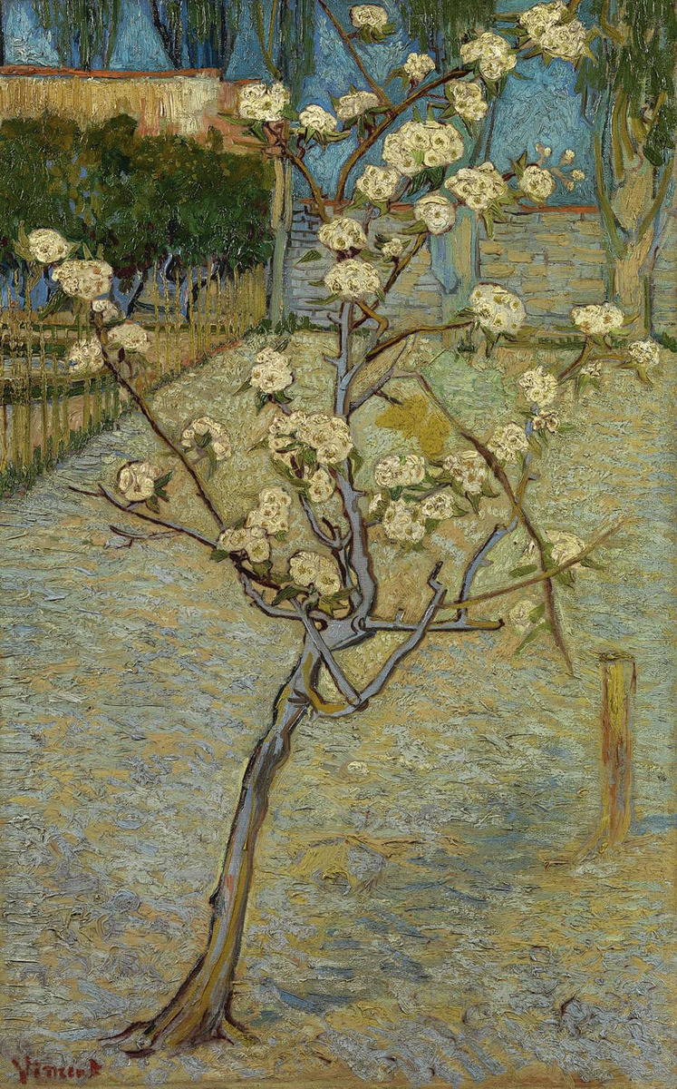 Vincent van Gogh, Bloeiend pereboompje, 1888. Van Gogh Museum, Amsterdam.