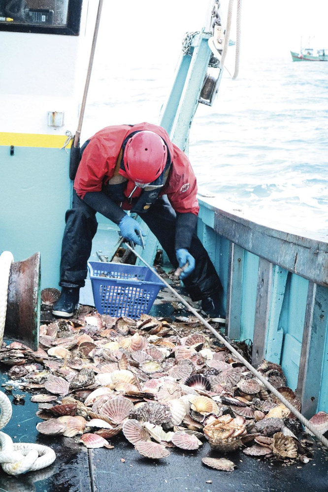 Pêche extrême à Saint-Quay-Portrieux