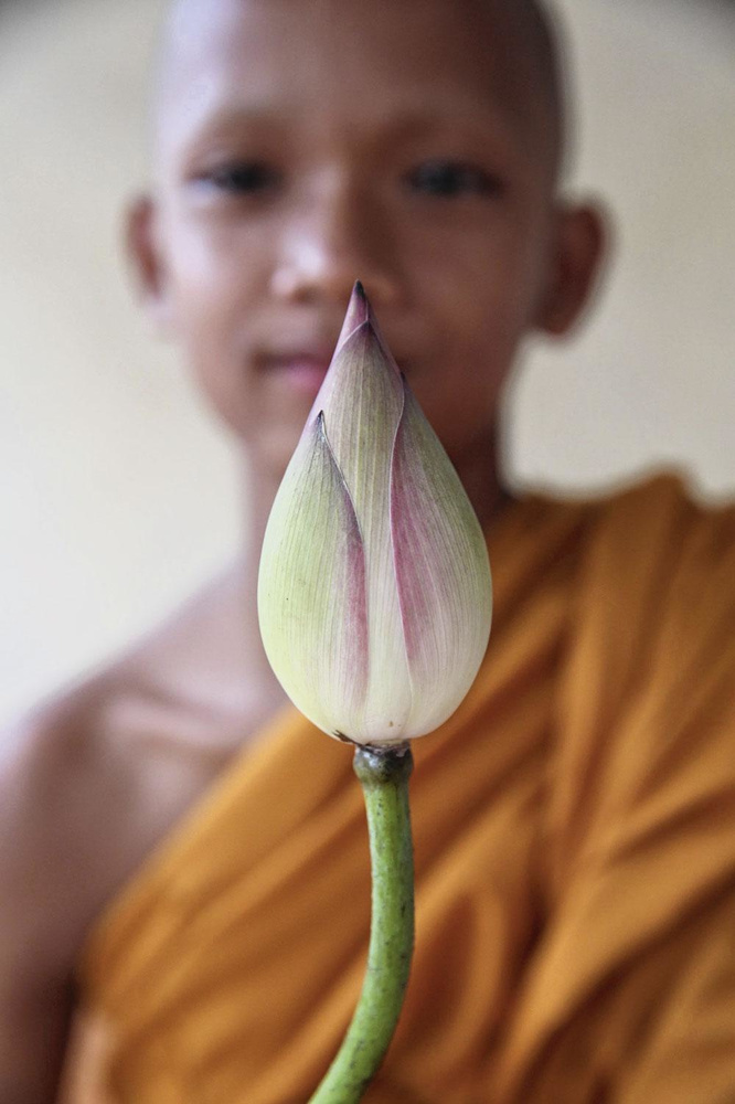 L'image d'un moine bouddhiste assis en lotus offre une vision réductrice de la méditation.