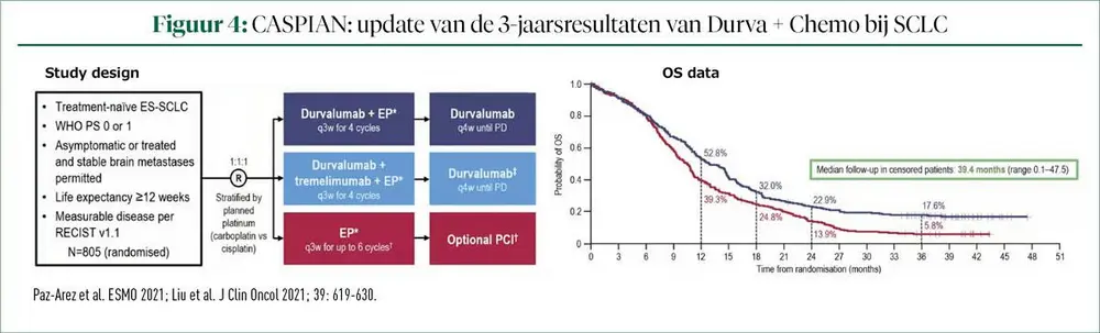 Verslag van de Belgische Respiratoire Oncologie Update Meeting