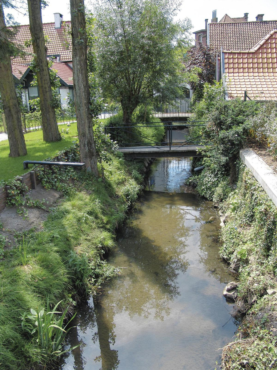 Le parc de Woluwe, joyau parmi les joyaux 