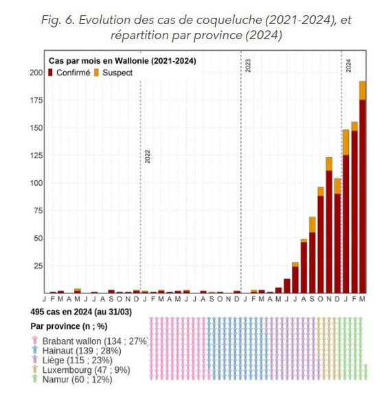 Déjà près de 500 cas de coqueluche enregistrés en 2024