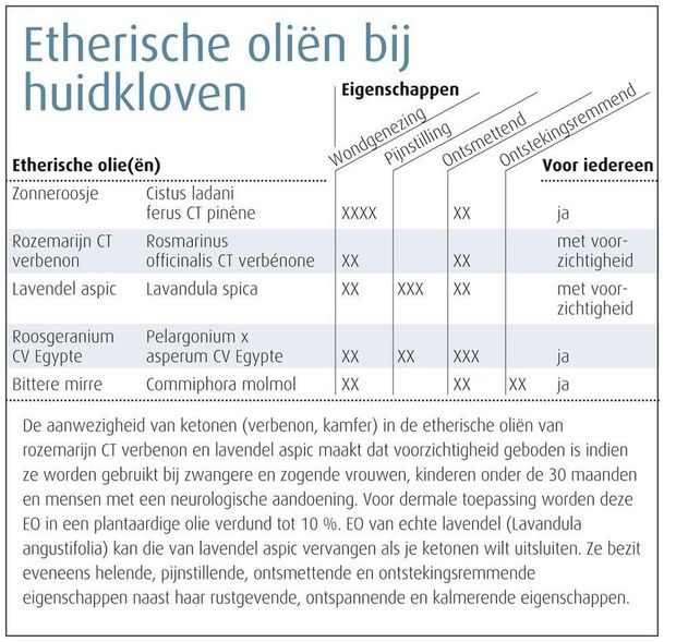 De huid in de koude