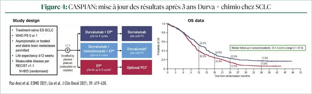 Compte-rendu du Belgian Respiratory Oncology Update Meeting