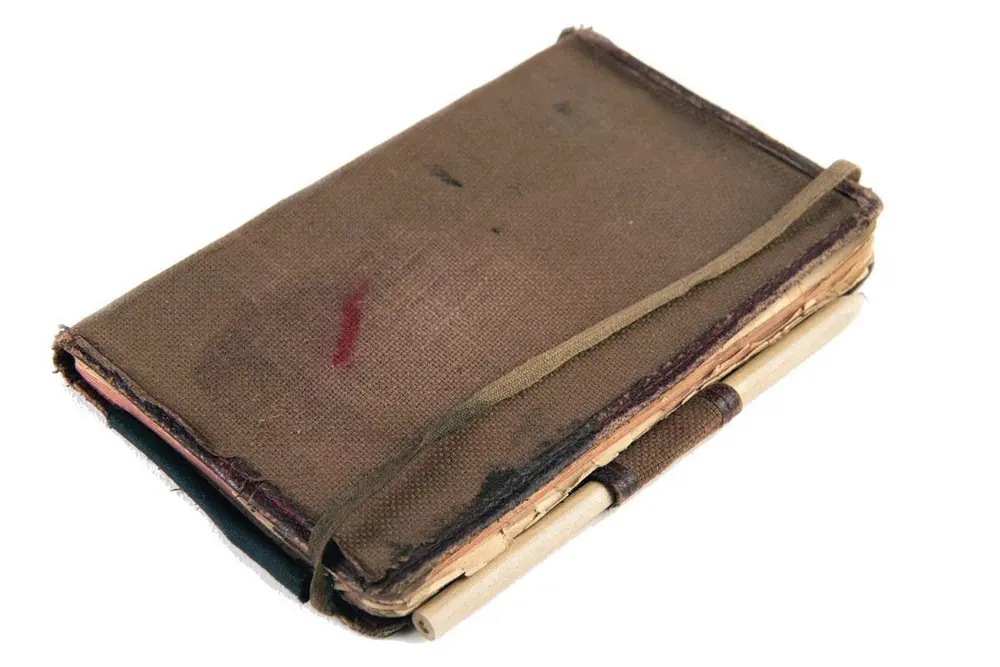De oorlogsdagboeken van dokter Roger Lambrechts