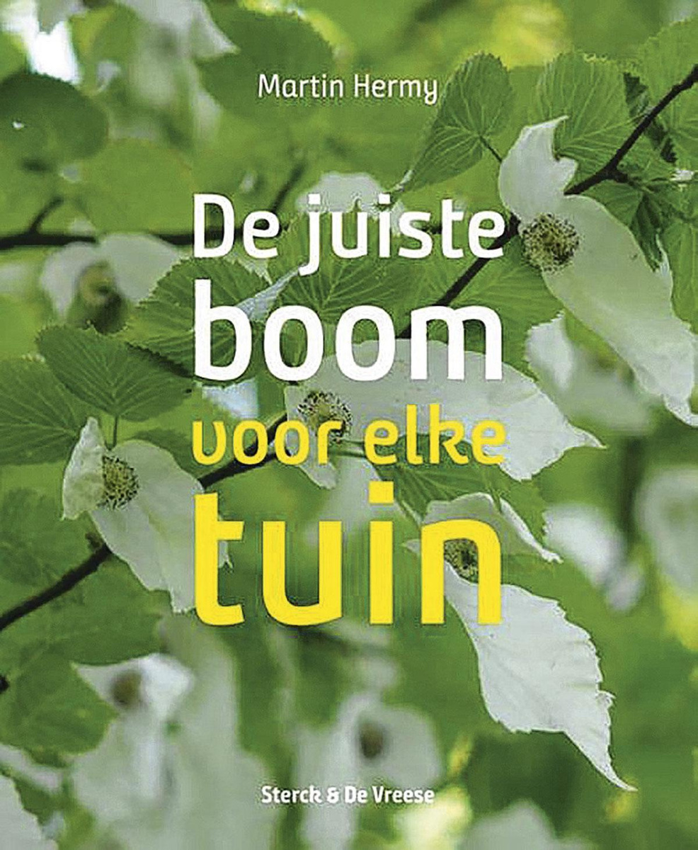 De bomen en hun hout
