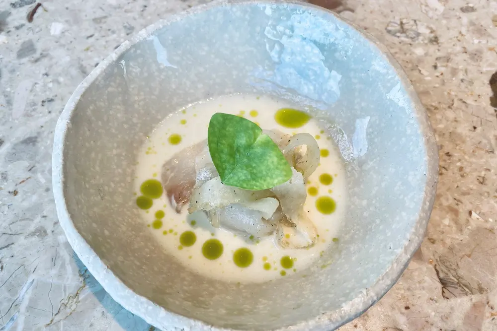 Knokke op voorschrift