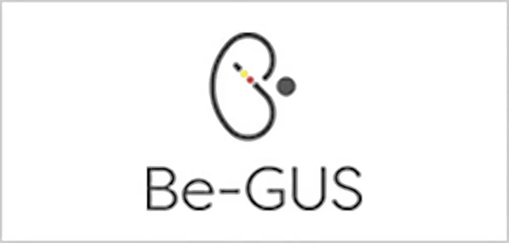 Rapport de la réunion du Be-GUS